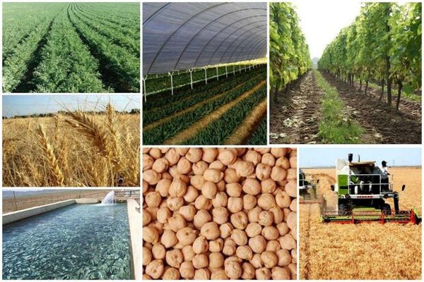 مدیریت استانها را از ساختار منفعل به نهاد پاسخگو تبدیل کردیم/ اجرای بیش از 90 مصوبه تخصصی