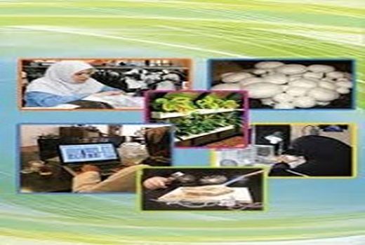 صدور 31 مجوز مشاغل خانگی  کشاورزی در بوئین زهرا