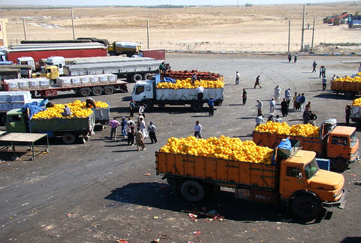 صادرات 120 میلیارد تومانی محصولات کشاورزی از مرز مهران