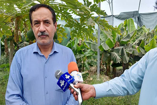 اجرای سالانه 70 هزار هکتار کانال ها و شبکه های فرعی آبیاری 