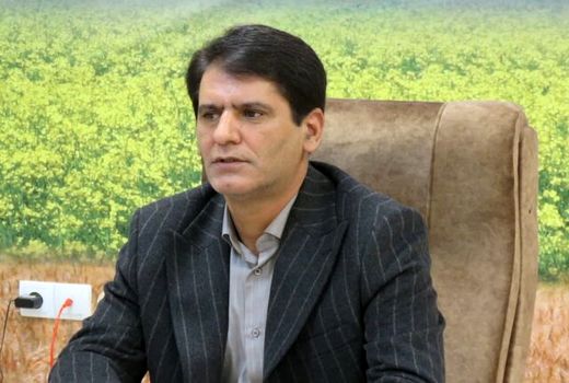 استان اردبیل حدود 85 درصد بذر ذرت کشور را تأمین می‌کند