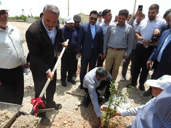 کلنگ‌زنی نیروگاه خورشیدی ۶.۵ مگاواتی نیروگاه سیکل ترکیبی جهرم