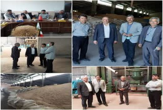 بازدید کارشناسان فنی از یک واحد تولیدی بذر گندم در استان قزوین