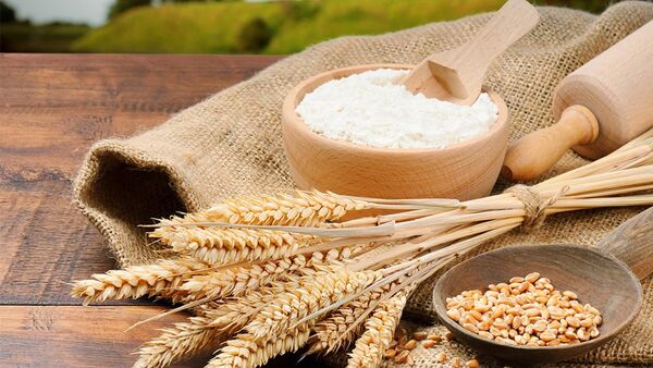 تولید آرد سبوس‌دار در چهارمحال و بختیاری/ مردم نان کامل می‌خورند