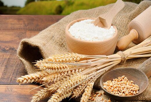تولید آرد سبوس‌دار در چهارمحال و بختیاری/ مردم نان کامل می‌خورند