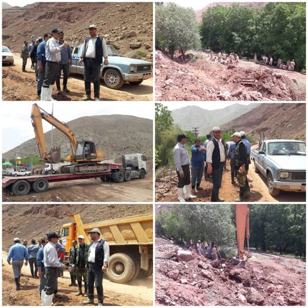 تلاش برای احیای ۲۵۰ هکتار از باغات گردوی روستای مزداران شهرستان فیروزکوه