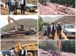 تلاش برای احیای ۲۵۰ هکتار از باغات گردوی روستای مزداران شهرستان فیروزکوه
