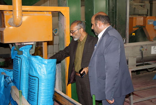 استان البرز قطب تولید دانش بنیان بذور غلات و سبزی و صیفی در کشور