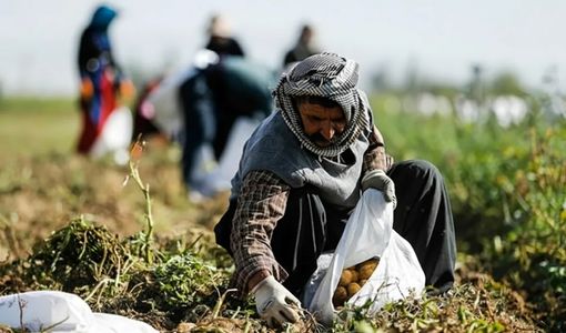 آیین تجلیل از ۱۵۷ برگزیده ملی کشاورزی برگزار می‌شود