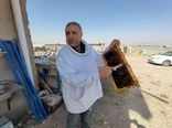 آمارگیری زنبورستان‌های تبریز پایان یافت/ تولید سالانه ۶۱۸ تن عسل در شهرستان تبریز 