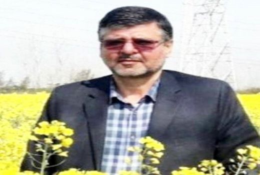 آخرین وضعیت کشت کلزا در استان گلستان