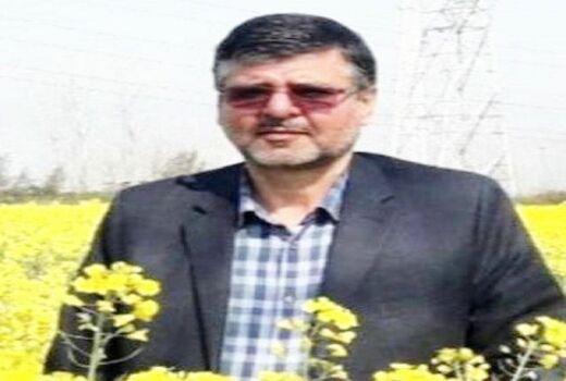 آخرین وضعیت کشت کلزا در استان گلستان