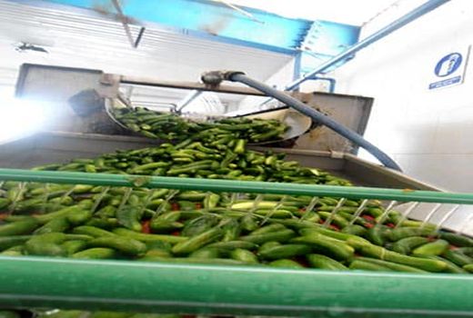 تکمیل پروژه‎های صنایع غذایی مرودشت