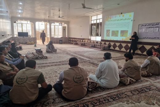 جلوگیری از خسارت آفت کرم برگخوار پاییزه در مزارع کارون