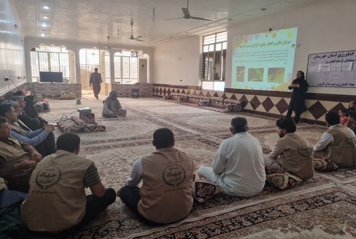 جلوگیری از خسارت آفت کرم برگخوار پاییزه در مزارع کارون
