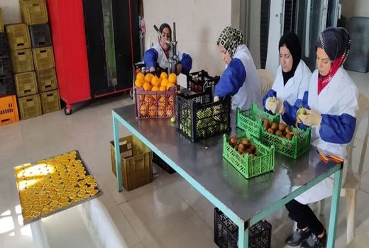 بهره‌برداری از اولین واحد تولید و بسته‌بندی میوه خشک در بیضا