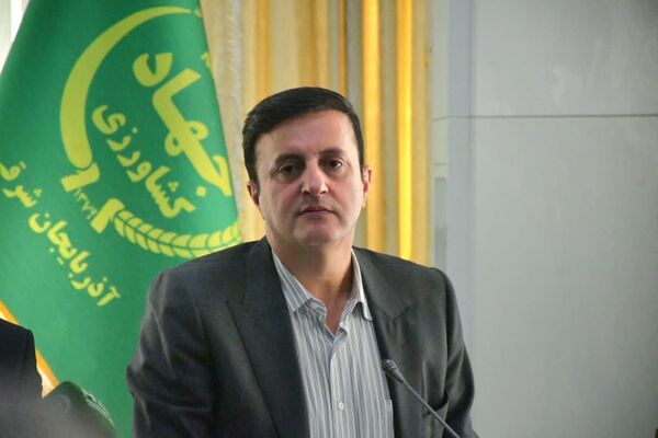 معاون وزیر جهاد کشاورزی: تخصیص فوق&zwnj;العاده امنیت غذایی را  پیگیری می&zwnj;کنیم