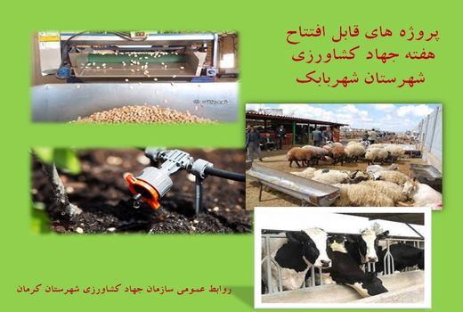 بهره برداری از 13 طرح کشاورزی و دامپروری شهرستان شهربابک در هفته جهاد کشاورزی 