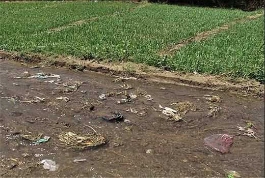 فاضلاب خام برای آبیاری تحویل کشاورز نمی‌شود