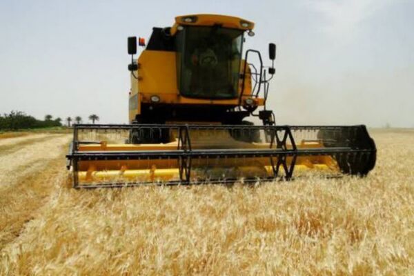 برداشت جو در بیش از ۳۸ هزار هکتار از اراضی آذربایجان غربی آغاز شد