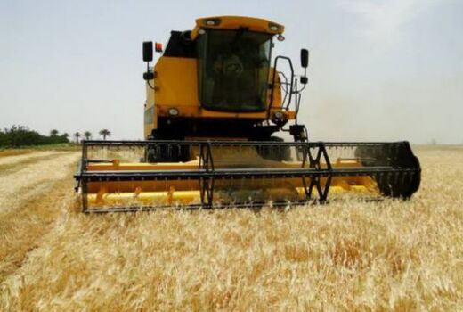 برداشت جو در بیش از ۳۸ هزار هکتار از اراضی آذربایجان غربی آغاز شد