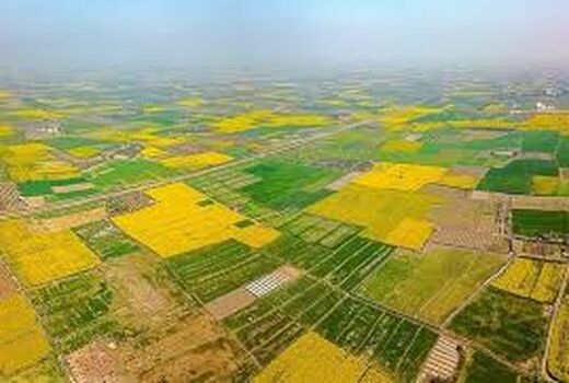 تفسیر 46 پلاک در کمیته تفسیر خوزستان