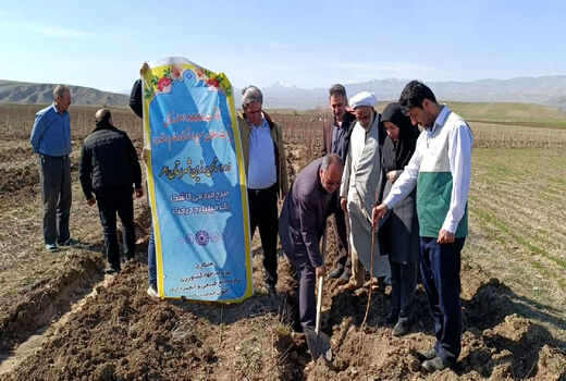 غرس 8888 اصله نهال به نیت امام رضا (ع) در شهرستان اهر