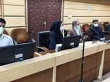 استان کرمانشاه پیشرو در بیمه و تنوع کشت محصولات زراعی تحت پوشش طرح جهش تولید در دیمزارها