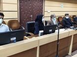 استان کرمانشاه پیشرو در بیمه و تنوع کشت محصولات زراعی تحت پوشش طرح جهش تولید در دیمزارها
