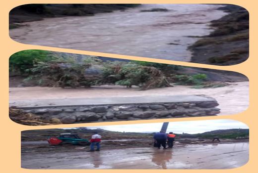  خسارت بالغ بر  3 هزار و ۵۰۰ میلیارد تومانی به حوزه کشاورزی و دامپروری استان کرمان