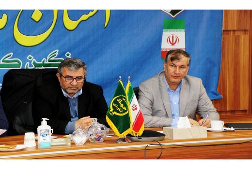 ذخیره 500 هزارتنی مرکبات در مازندران/ مسیر صادرات باید کم هزینه باشد