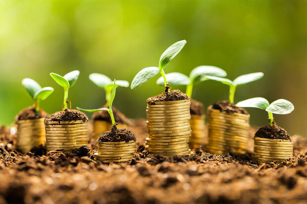 فعالیت صندوق های کشاورزی فارس با 850 میلیارد ریال سرمایه 