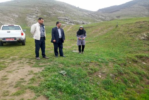 ارزیابی میدانی مبارزه با ملخ در هوراند