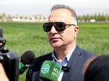 برداشت گندم در ۶ استان آغاز شد/ ۲۰۰ هزار تن تحویل مراکز خرید