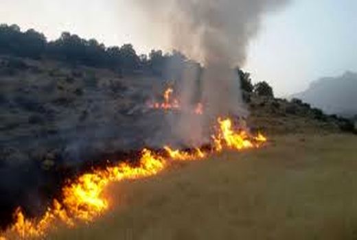 آتش‌سوزی اراضی ملی روستای بلغان شیروان مهار شد