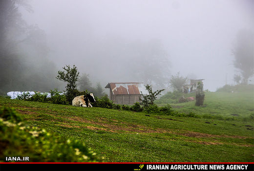 روستای ییلاقی اولسبلانگا