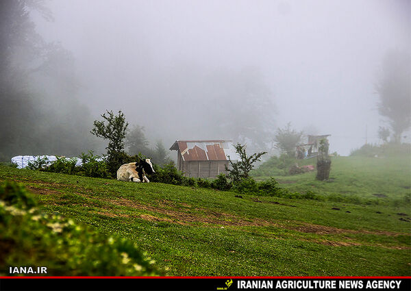 روستای ییلاقی اولسبلانگا