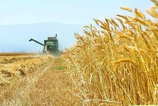 استان اردبیل در تنوع و تولید  بذور اقلیم های مختلف پتانسیل بالای کشوری دارد