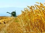 استان اردبیل در تنوع و تولید  بذور اقلیم های مختلف پتانسیل بالای کشوری دارد