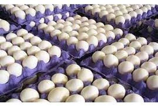 360 کارتن تخم مرغ تنظیم بازاری در آمل توزیع شد