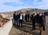 بازدید علمی–میدانی از ظرفیت‌های تولیدی مناطق عشایری آذربایجان شرقی