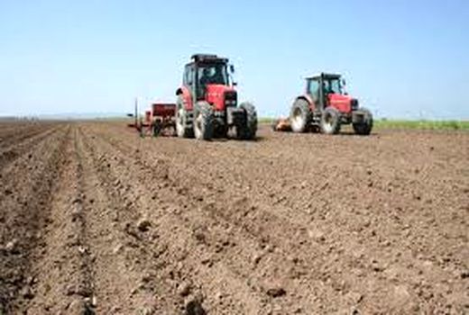 اجرای پروژه ضریب خود اتکایی گندم در خرمشهر