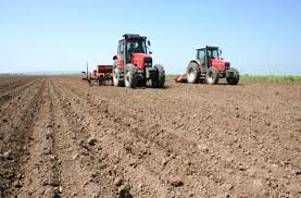 اجرای پروژه ضریب خود اتکایی گندم در خرمشهر