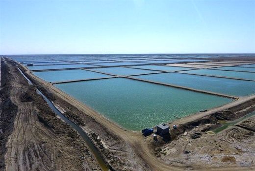 فعالیت بزرگترین سایت پرورشی کشور در گناوه با ذخیره سازی بچه میگو آغاز شد