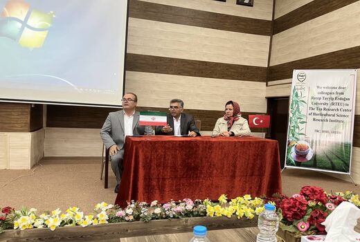 توسعه همکاری و انتقال دانش ایران و ترکیه در حوزه چای