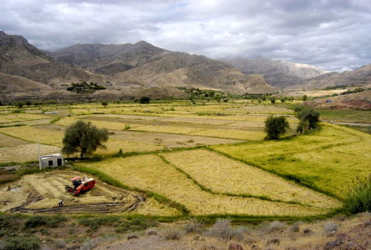 بررسی یک هزار و ۲۰۰ هکتار از اراضی ملی در کارگروه رفع تداخلات شهرستان اردل