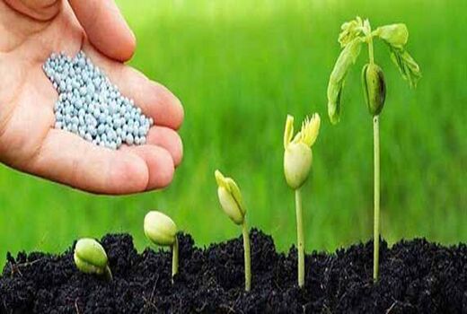 تامین صددرصدی برنامه مصوب کودهای یارانه‌ای در سال 1400 