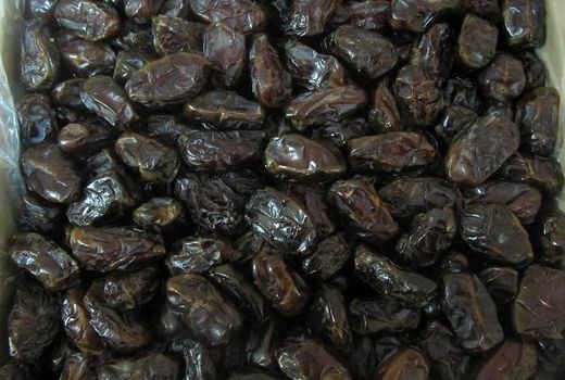 پیگیری برای صادرات خرمای استان بوشهر آغاز شده است