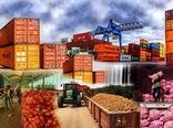 مسیر صادرات ۴۰ محصول کشاورزی باز شد؛ از خشکبار تا برنج و چای