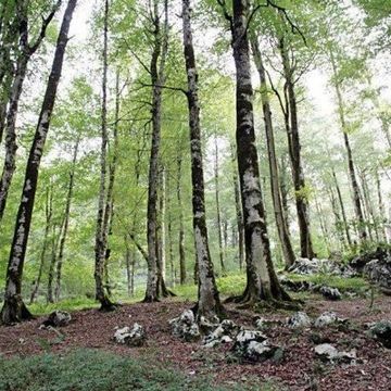 طبیعت از من آغاز می‌شود